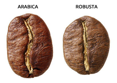 caffè-chicchi-arabica-robusta-differenza